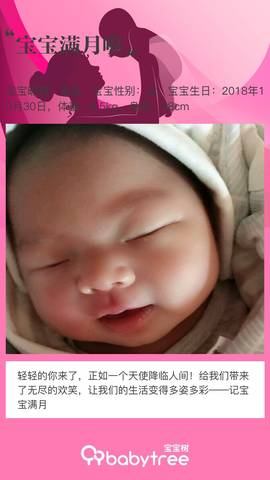journal_insert_pic_1138626178