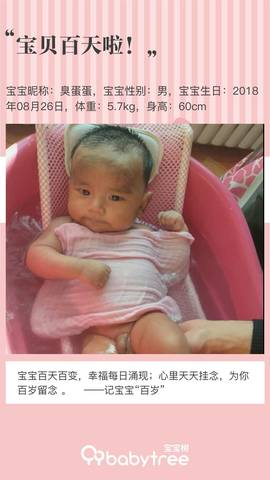 journal_insert_pic_1139717989