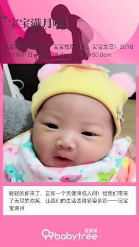 journal_insert_pic_1139502947