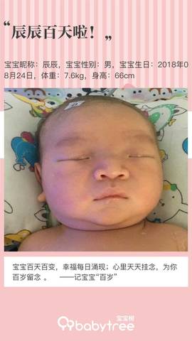 journal_insert_pic_1140564798
