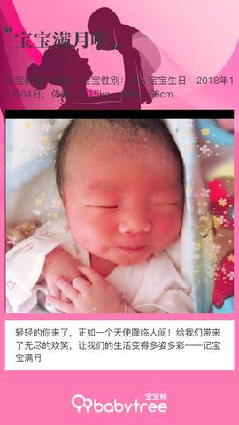 journal_insert_pic_1142762339