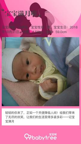 journal_insert_pic_1142526339