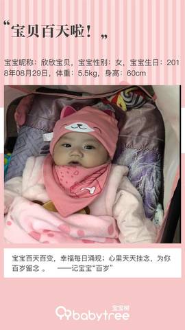 journal_insert_pic_1142513687