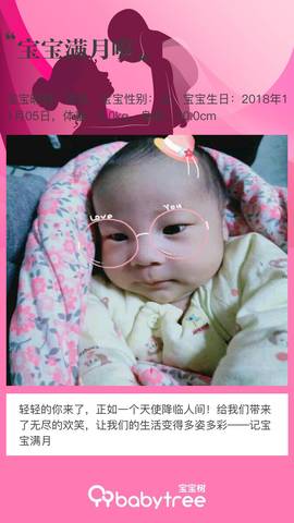 journal_insert_pic_1143247057