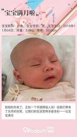 journal_insert_pic_1144550259