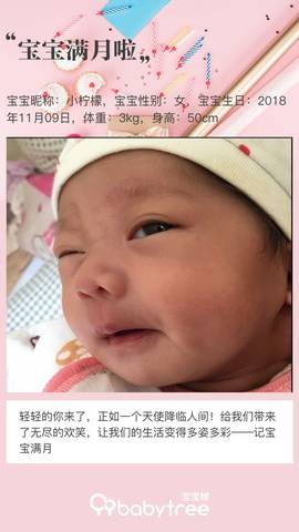 journal_insert_pic_1145193608