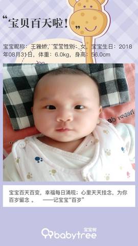journal_insert_pic_1146203268