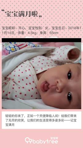 journal_insert_pic_1146859316