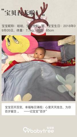 journal_insert_pic_1146666094