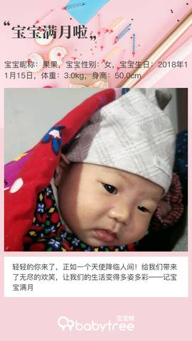 journal_insert_pic_1147768581