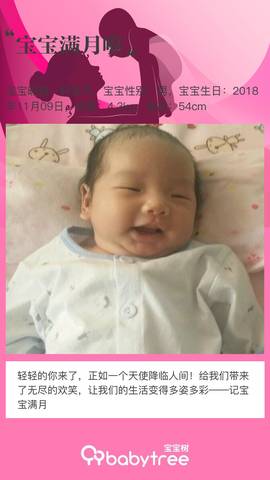 journal_insert_pic_1147920543