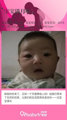 journal_insert_pic_1147780222