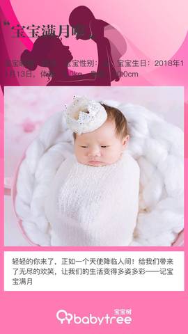 journal_insert_pic_1147503582