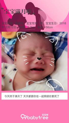 journal_insert_pic_1148910494