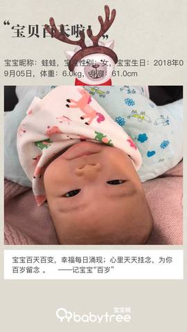 journal_insert_pic_1148493952