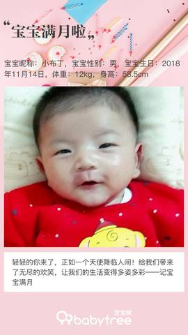 journal_insert_pic_1149068082