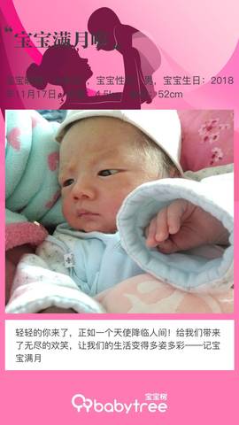 journal_insert_pic_1149033841