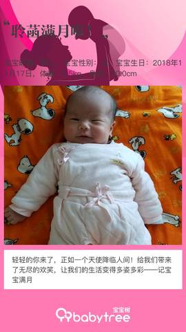 journal_insert_pic_1149001599