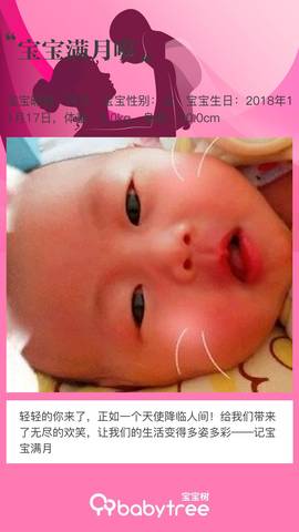 journal_insert_pic_1149504296