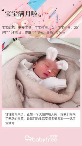journal_insert_pic_1149628587