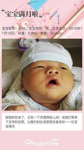 journal_insert_pic_1149827498