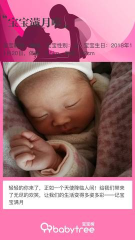 journal_insert_pic_1149623056