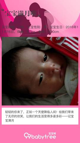 journal_insert_pic_1150125036