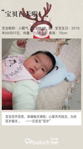 journal_insert_pic_1150055624