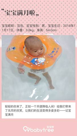 journal_insert_pic_1150194084