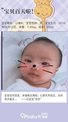 journal_insert_pic_1151125297
