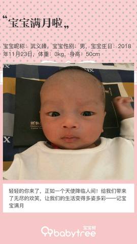 journal_insert_pic_1151402467