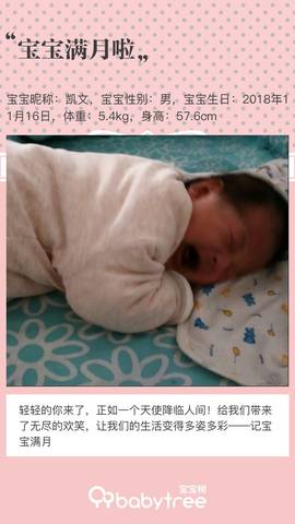 journal_insert_pic_1151501664