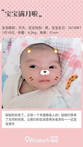 journal_insert_pic_1152181041