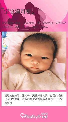 journal_insert_pic_1152773994