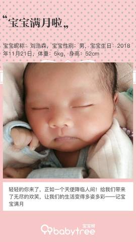 journal_insert_pic_1153811536