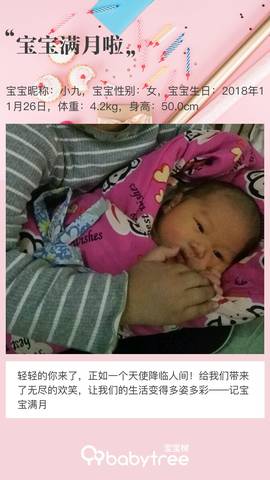 journal_insert_pic_1154142849