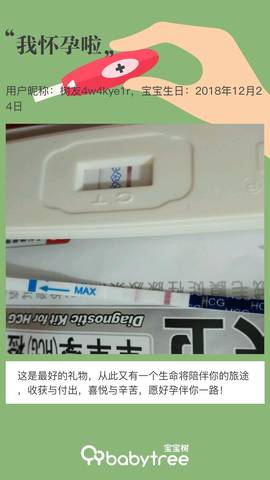 journal_insert_pic_1154735696