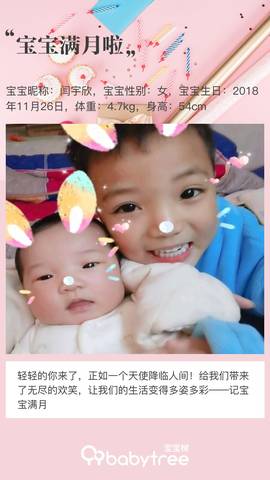 journal_insert_pic_1154813646