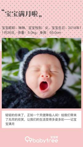 journal_insert_pic_1155588335