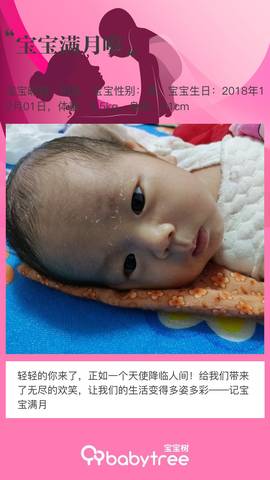 journal_insert_pic_1156923490