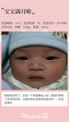 journal_insert_pic_1157300696