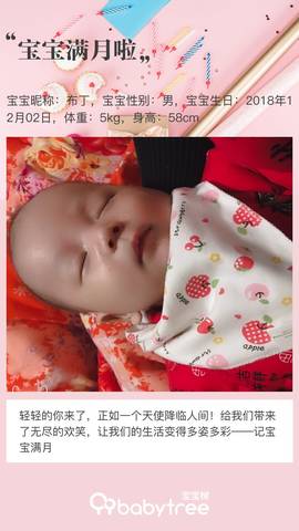 journal_insert_pic_1157371166
