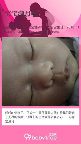 journal_insert_pic_1158171067