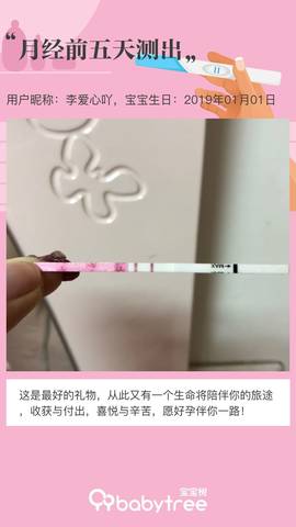 journal_insert_pic_1158157852