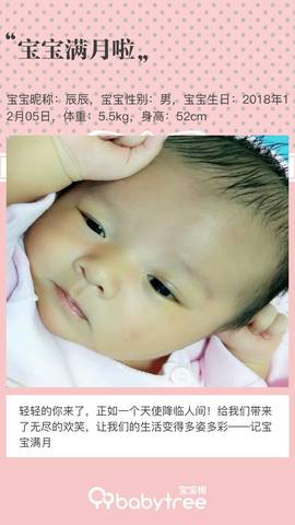 journal_insert_pic_1157906229
