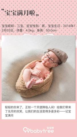 journal_insert_pic_1159256054