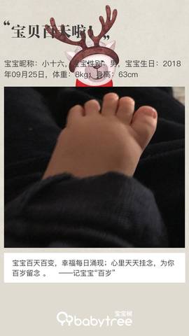 journal_insert_pic_1159240796