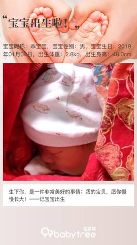 journal_insert_pic_1161208009