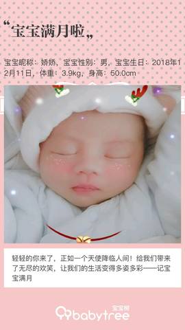 journal_insert_pic_1161610896