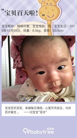 journal_insert_pic_1162299716